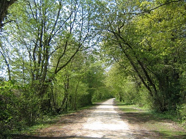 Ens Le Chemin Des Roses Departement De Seine Et Marne