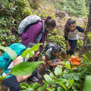 Un groupe de collégiens découvre la nature avec un professeur dans une forêt