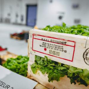 Salade provenant de l'agriculture locale