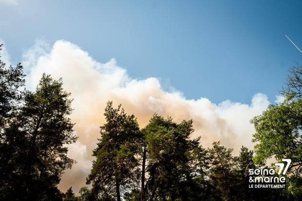 Incendie de la forêt de Fontainebleau