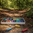 Une boîte de pastel dans la forêt