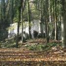 Espace naturel sensible le bois de la Bergette