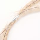 Exposition Constellationˢ