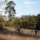 Des cyclistes en pleine nature en Seine-et-Marne