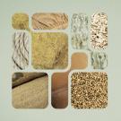 Visuel exposition "Chanvre"