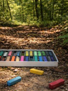 Une boîte de pastel dans la forêt
