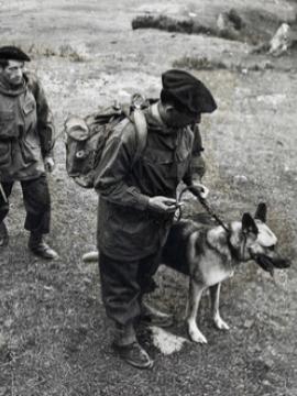 Évènements novembre musée gendarmerie