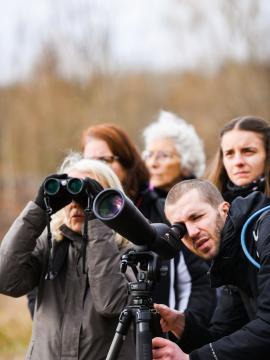 Visite guidée d'une zone humide en Seine-et-Marne