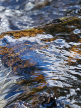 eau d'une rivière