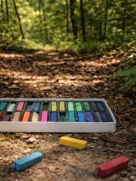 Une boîte de pastel dans la forêt