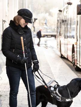 Deux femmes malvoyantes accompagnées d'un chien guide d'aveugle