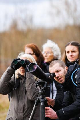 Visite guidée d'une zone humide en Seine-et-Marne