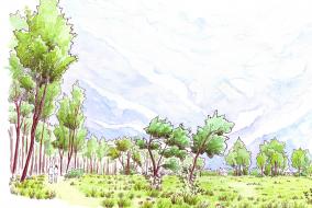 Dessin de la prairie Clemenceau