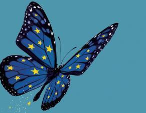 Papillon aux couleurs de l'Union européenne