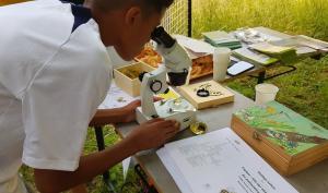 Un collégien regarde à travers un microscope