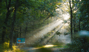 ENS Bois de la Rochette