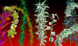 Captures extra natural de Miguel Chevalier