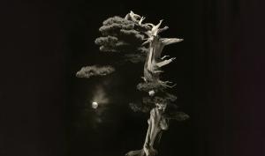 Une oeuvre photographique de Masao Yamamoto
