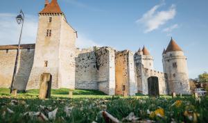 Château de Blandy-les-Tours