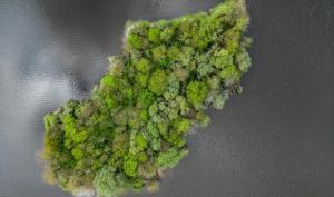 Une île boisée en Seine-et-Marne vue du ciel