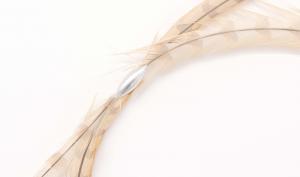 Exposition Constellationˢ