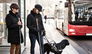 Deux femmes malvoyantes accompagnées d'un chien guide d'aveugle