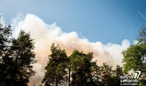Incendie de la forêt de Fontainebleau