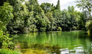 Un étang en Seine-et-Marne