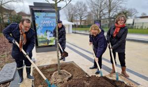 Des élus du Département de Seine-et-Marne replantent un arbre