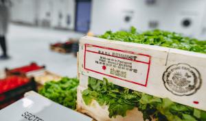 Salade provenant de l'agriculture locale