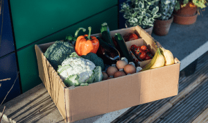 Panier de légumes et de fruits