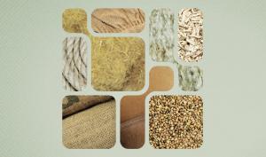 Visuel exposition "Chanvre"