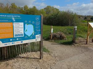 Nature handicap