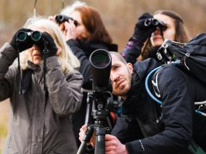 Des personnes observent les oiseaux avec des jumelles