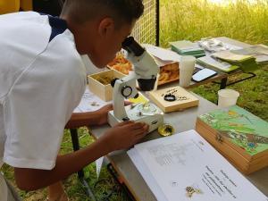 Un collégien regarde à travers un microscope