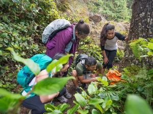 Un groupe de collégiens découvre la nature avec un professeur dans une forêt