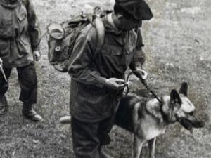 Évènements novembre musée gendarmerie