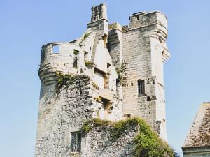 Donjon du Houssoy