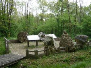 Espace naturel sensible - Le bois de la Barre