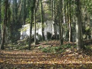 Espace naturel sensible, le bois de la Bergette