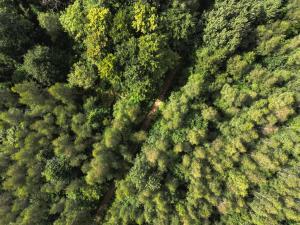 Bois de Doue en Seine-et-Marne