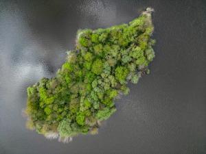 Une île boisée en Seine-et-Marne vue du ciel