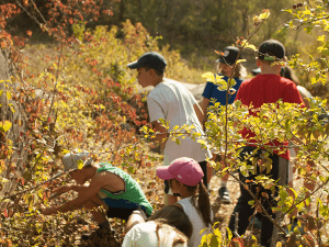 Des enfants observent la nature