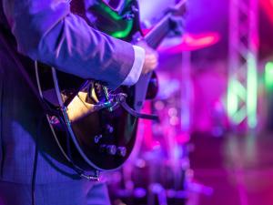 Guitariste