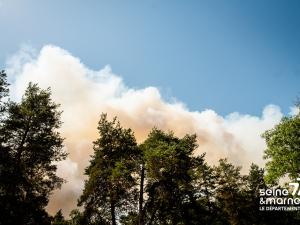 Incendie de la forêt de Fontainebleau