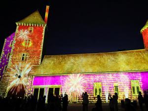 spectacle Lumières à Blandy projeté sur le château de Blandy-les-Tours