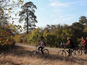 Des cyclistes en pleine nature en Seine-et-Marne