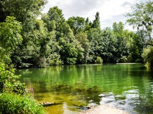 Un étang en Seine-et-Marne