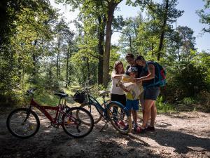 une famille avec des vélos dans une forêt