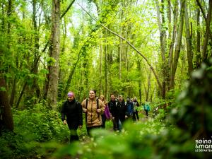 Randonneurs dans la forêt de Fontainebleau